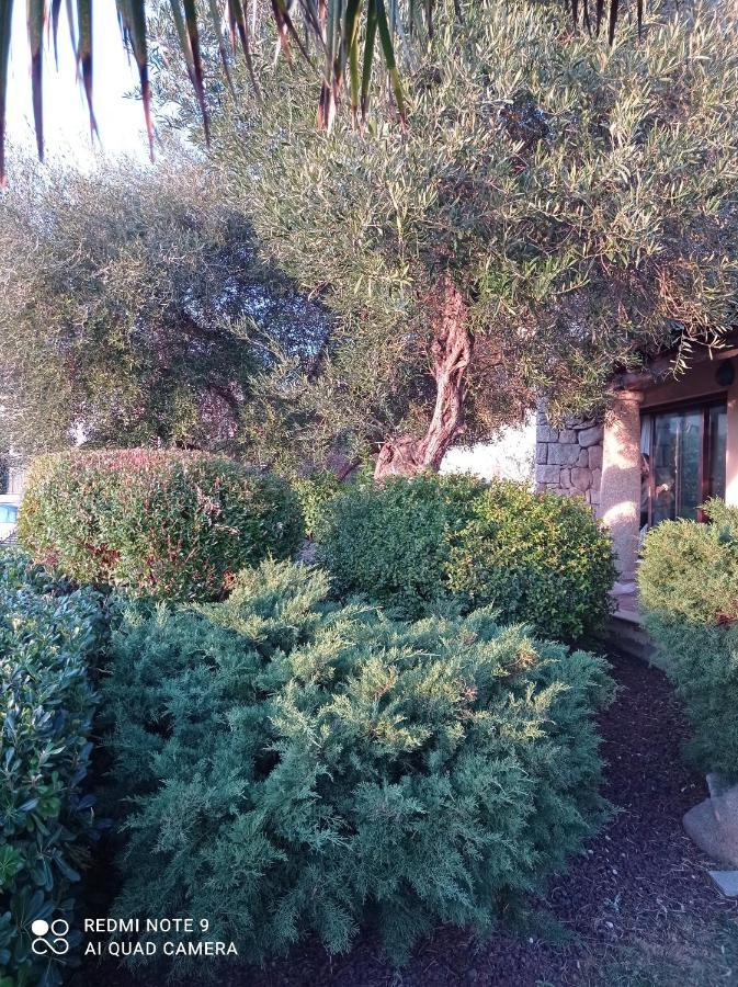 Bed and Breakfast La Forma Dell'Acqua Su Forti Exterior foto