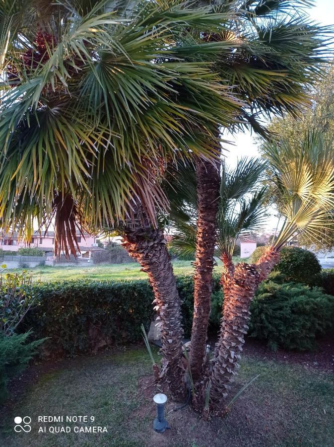 Bed and Breakfast La Forma Dell'Acqua Su Forti Exterior foto